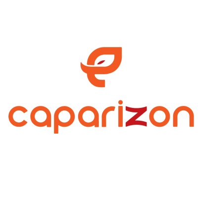 CAPARIZON SOFTWARE PVT LTD