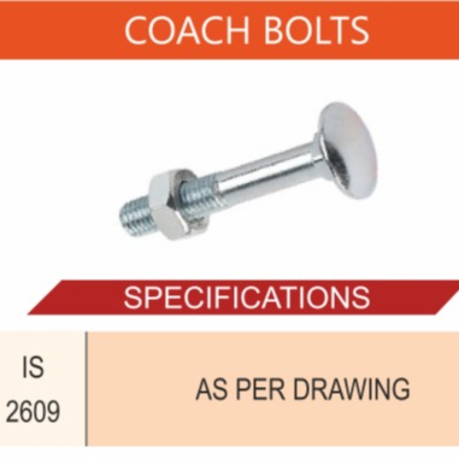 COACH BOLTS