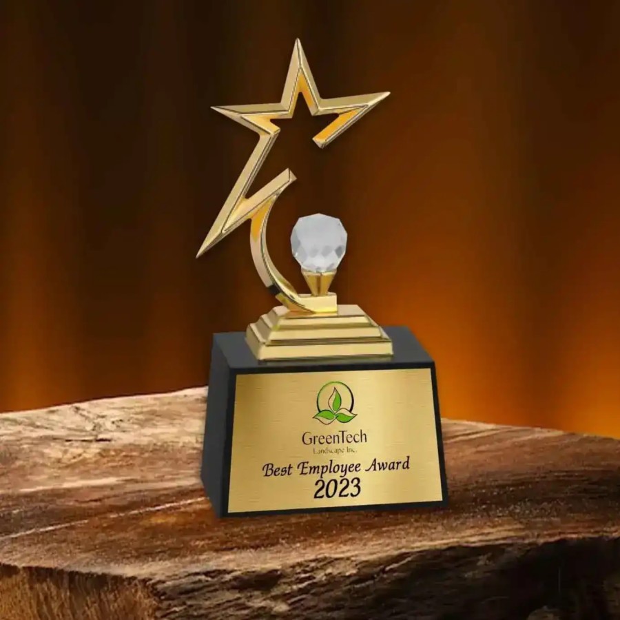 Custom Printed Golden Star Trophy (22.86cm)