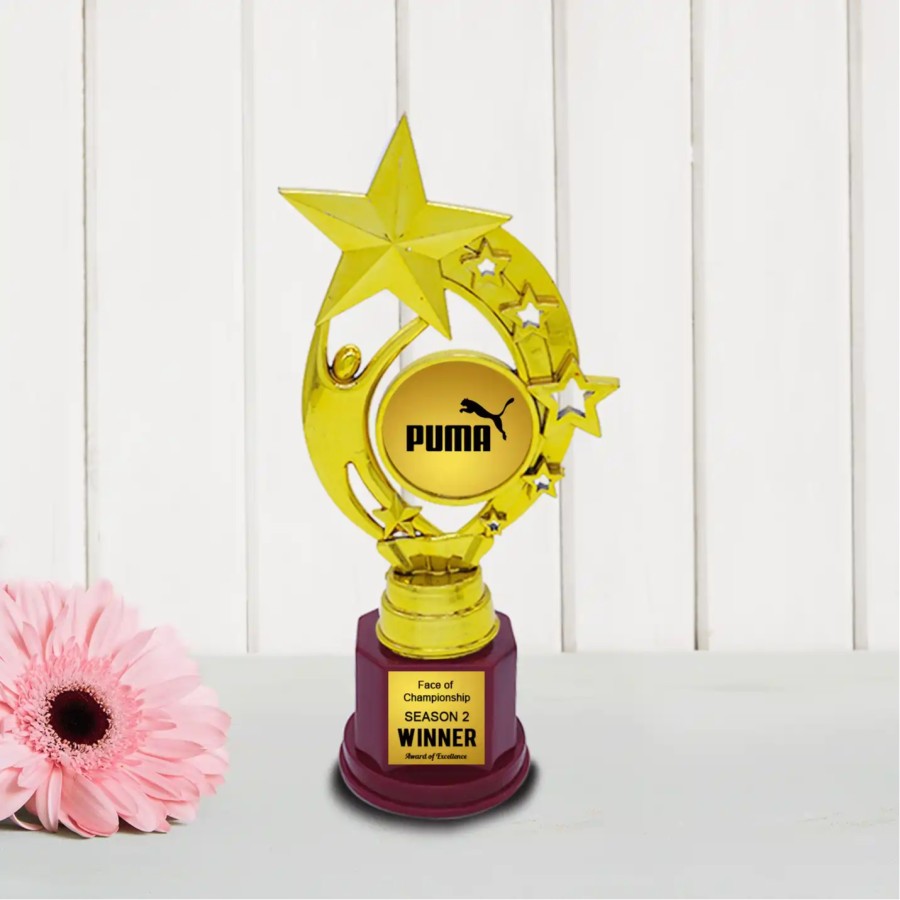 Customized Corporate Star Trophy (Size : 21.59 Cm)