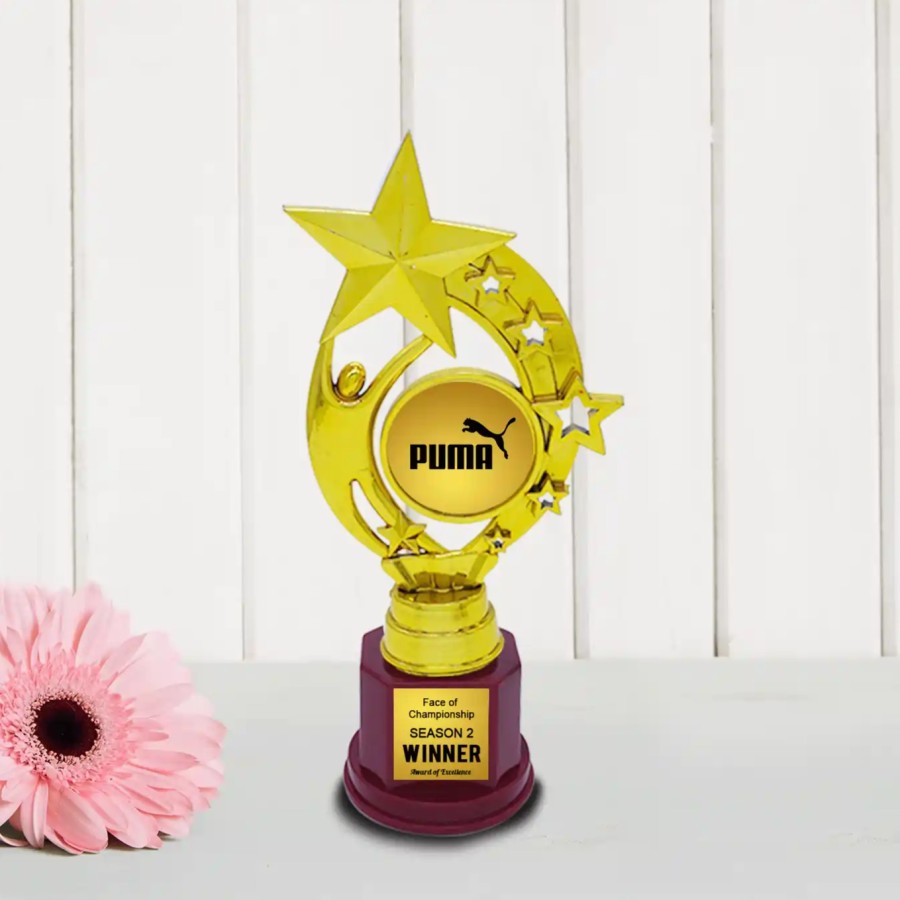 Custom Designed Fiber Star Trophy (Size : 17.78 Cm)