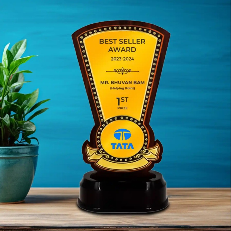 Exclusive Corporate Personalised Trophy ( Size: 24.13 cm)