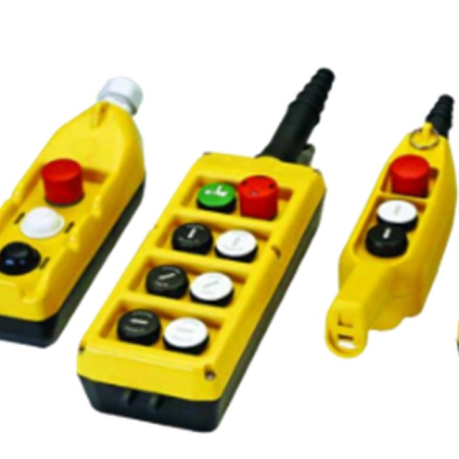 Pendent Push Button & Radio Remote Control