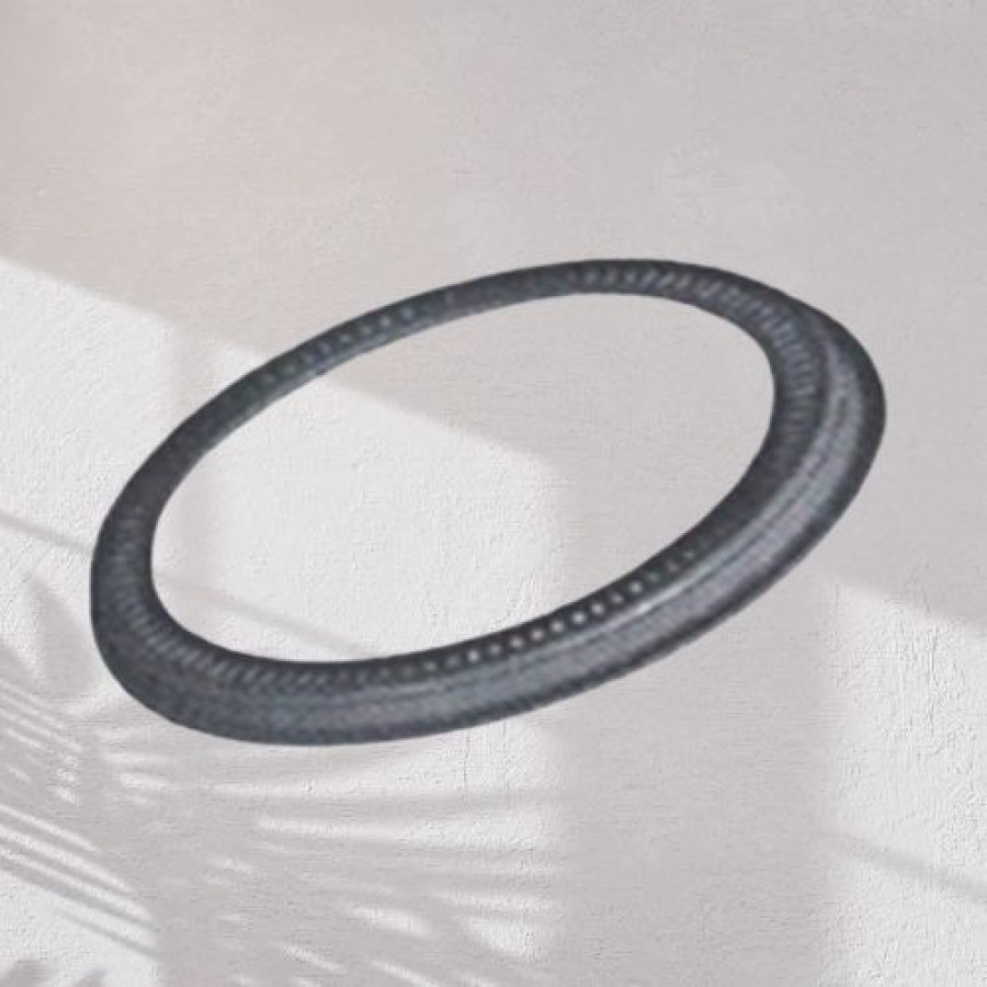 Commercial Vehicl ABS Sensor Ring