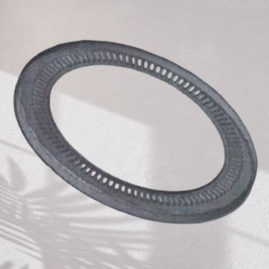 ABS Sensor Ring for Commercial Vehicle