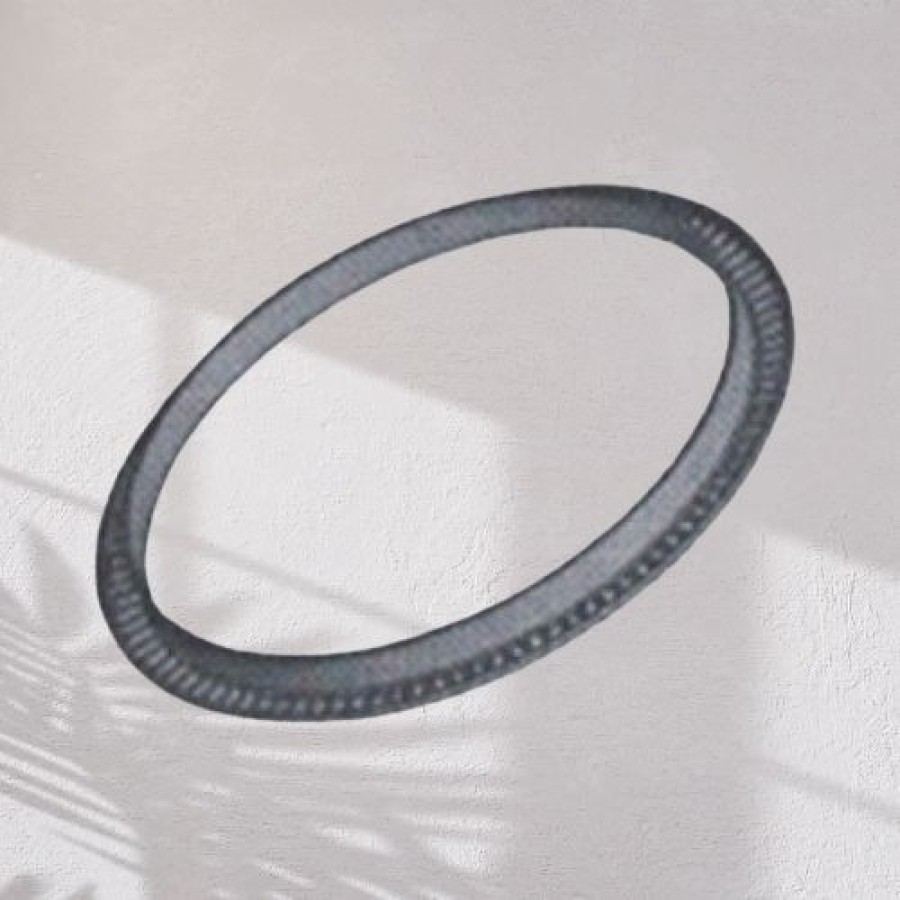 Commercial Vehicle ABS Sensor Ring
