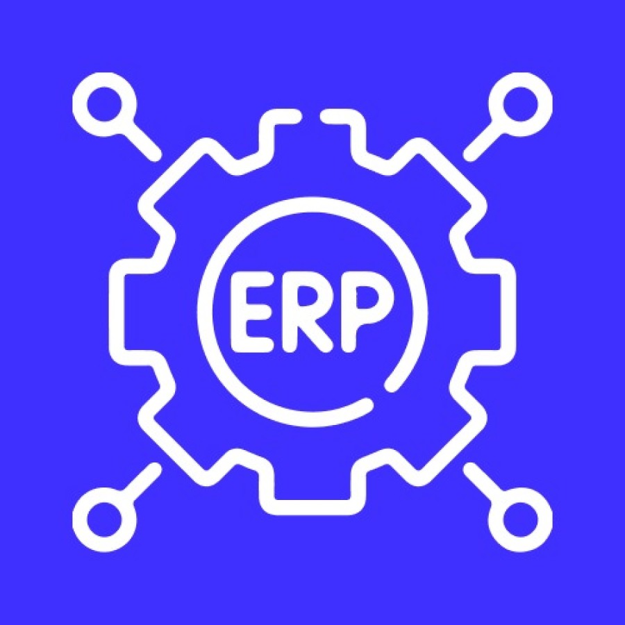 Custom ERP Development Solutions
