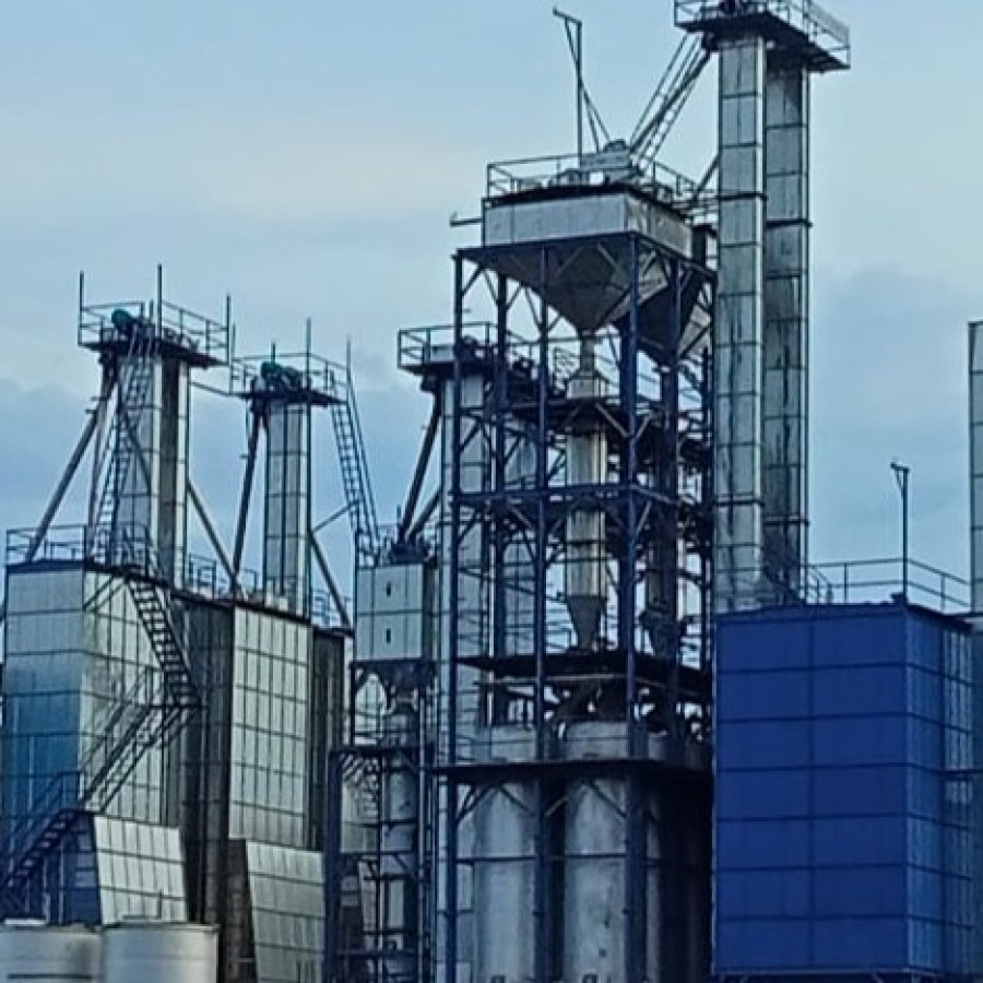 Parboiling and Drying System (PBD)