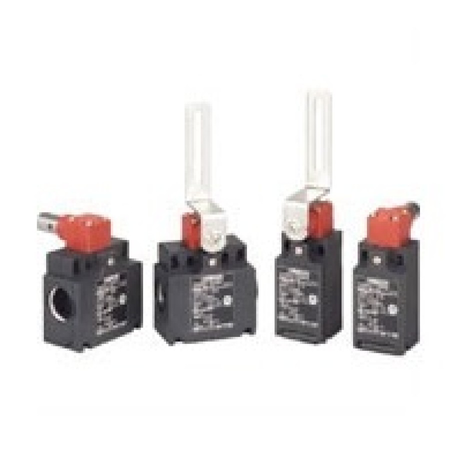 Safety-door Hinge Switch - D4NH