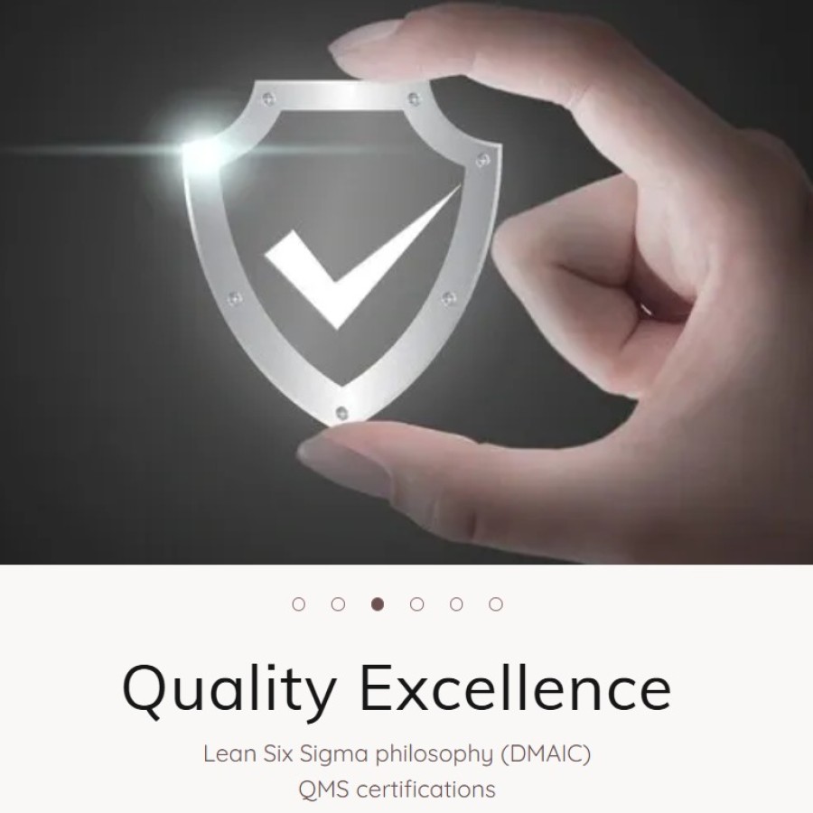 Plant Operations & Performance Improvement Consulting