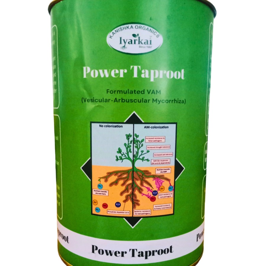 POWER TAPROOT