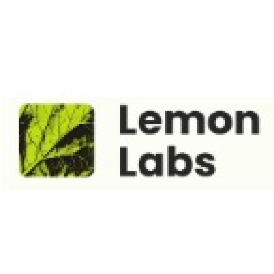 Auditing - E-Invoicing Assistant
