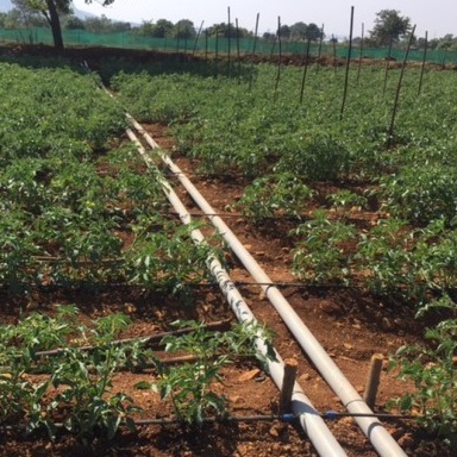 Drip Irrigation Systems For Large Projects