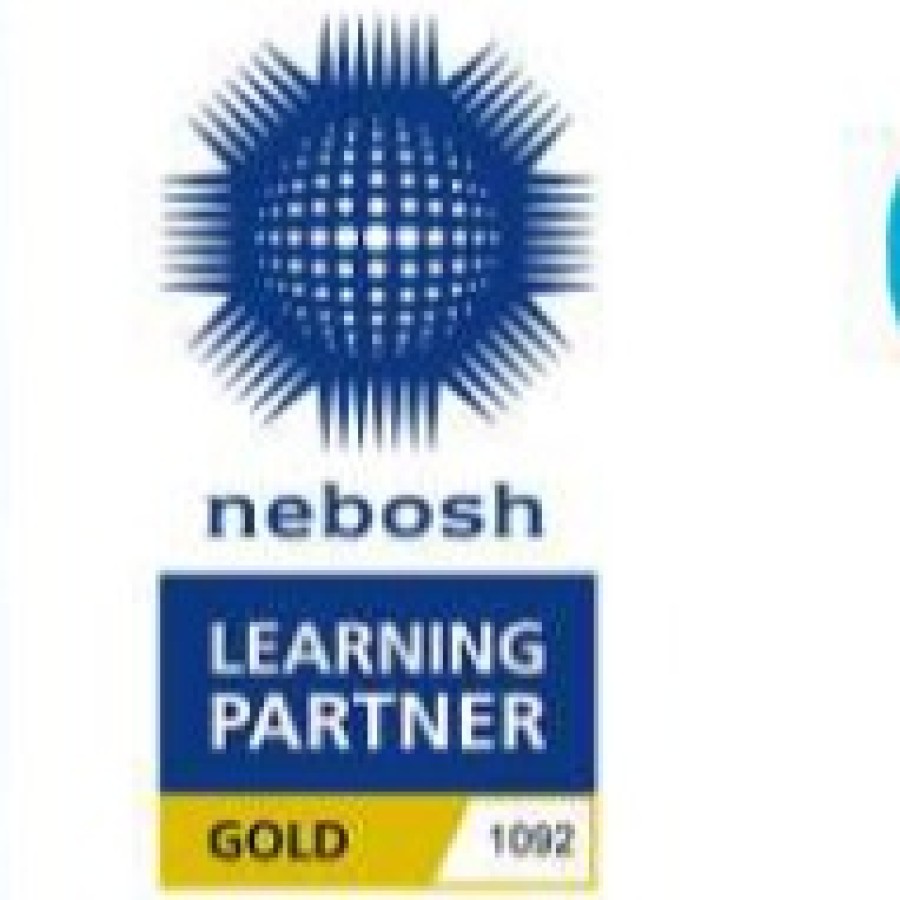 Professional Safety Training Services