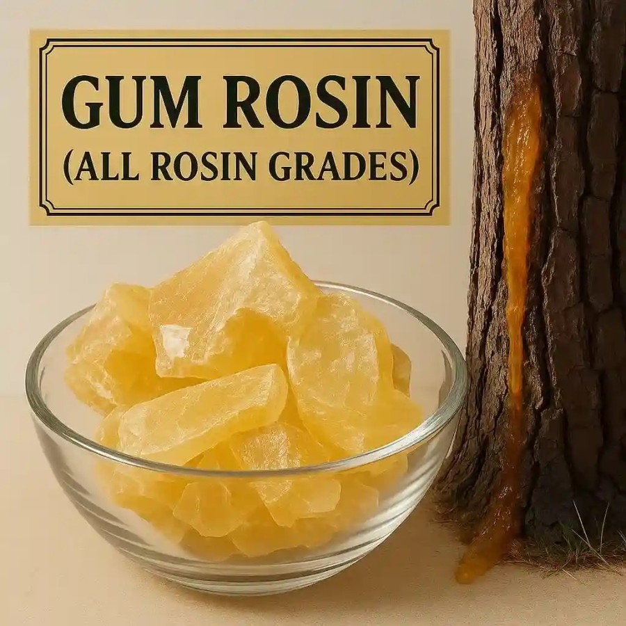 Gum rosin