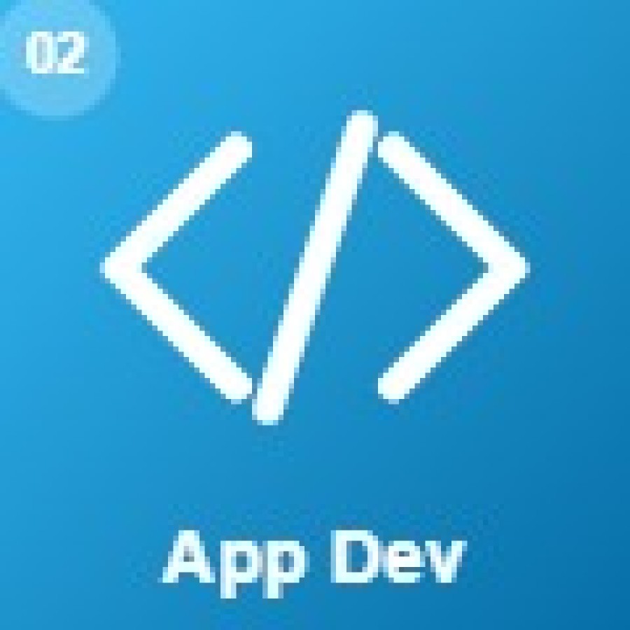 Custom Application Development & Modernization