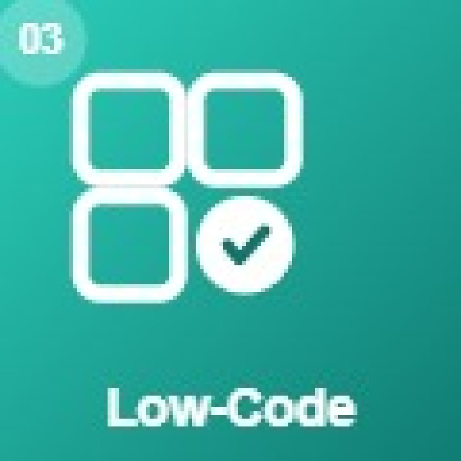 Low-Code & Rapid Application Development