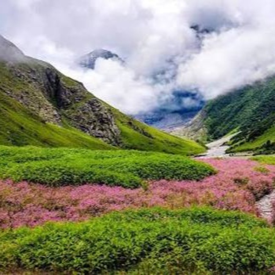 Valley Of Flowers Tour Package